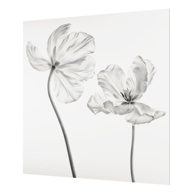 Spritzschutz Glas - Zwei zarte weiße Tulpen - Quadrat 1:1