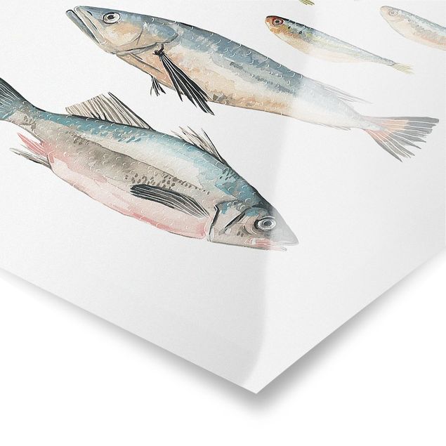 Poster - Sieben Fische in Aquarell II - Hochformat 3:2