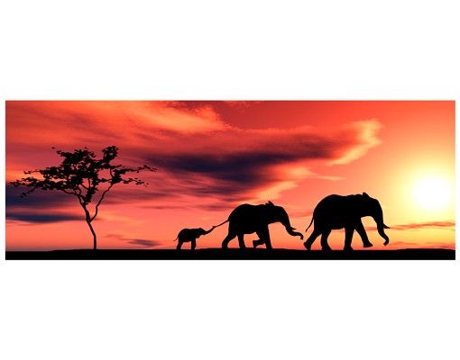 Fensterfolie farbig Savannah Elefant Family