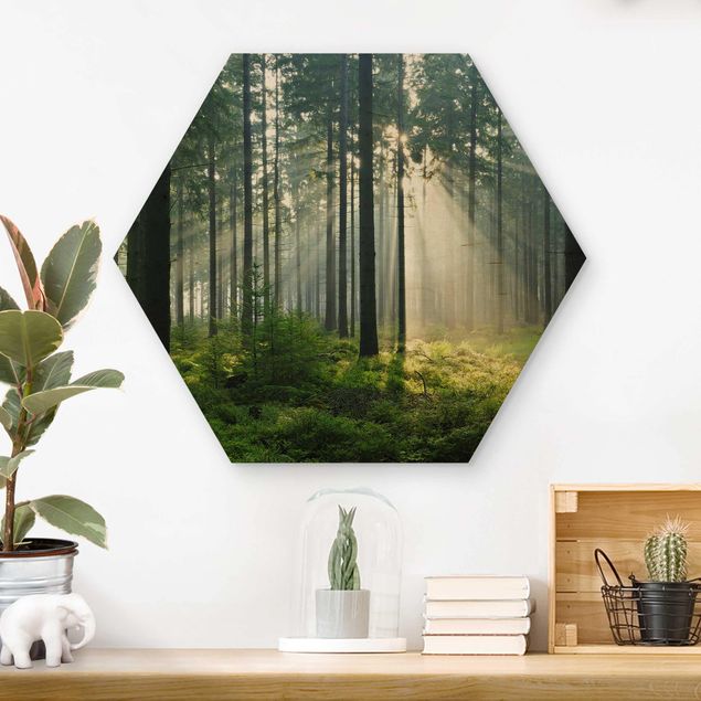 Wandbild Holz Enlightened Forest
