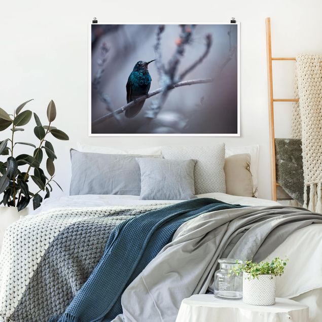 Moderne Poster Kolibri im Winter