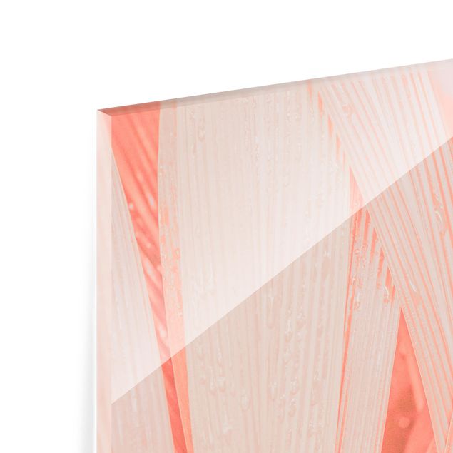 Glas Spritzschutz - Palmenblätter Rosa - Quadrat - 1:1