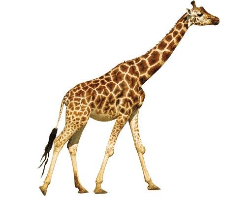 Wandtattoo No.312 Laufende Giraffe