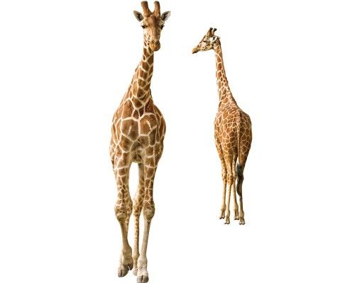 Klebefolie für Fenster Zwei Giraffen