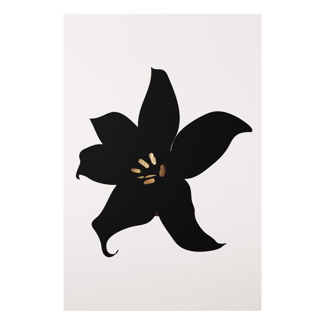 Bilder Grafische Pflanzenwelt - Orchidee Schwarz und Gold