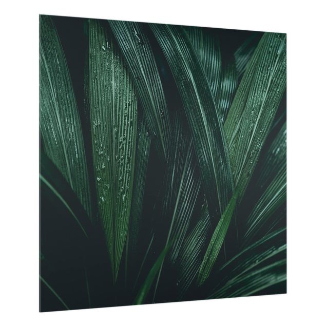 Glas Spritzschutz - Grüne Palmenblätter - Quadrat - 1:1