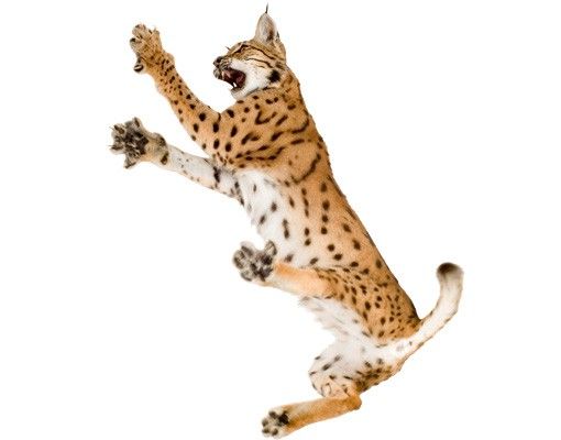 Wandtattoo Tiere Katze No.370 Attacking Lynx