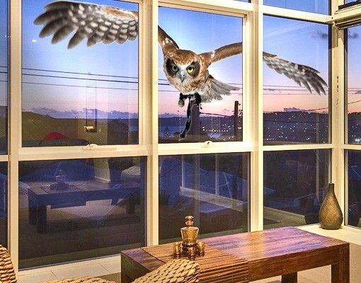 Fenstersticker Vögel Nocturnal Hunter