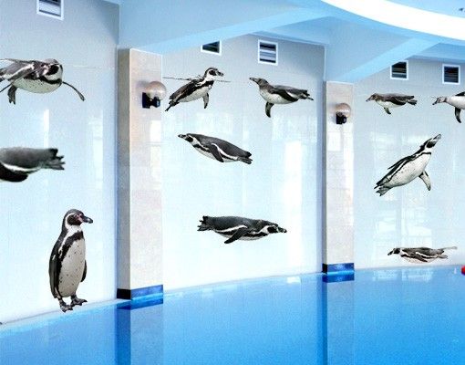 Wandtattoo Tiere No.391 Humboldt-Penguin Set