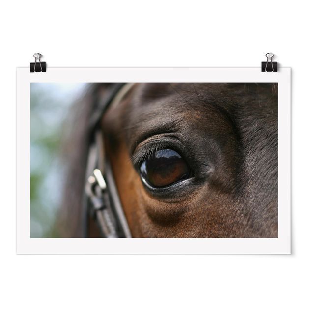 Poster - Horse Eye - Querformat 2:3