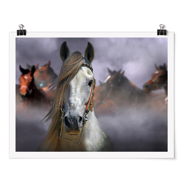 Moderne Poster Horses in the Dust
