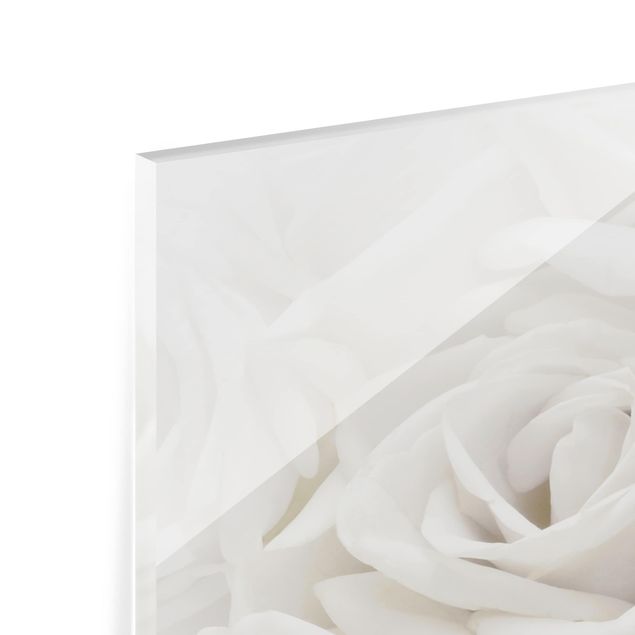 Spritzschutz Glas - Weiße Rosen - Panorama - 5:2