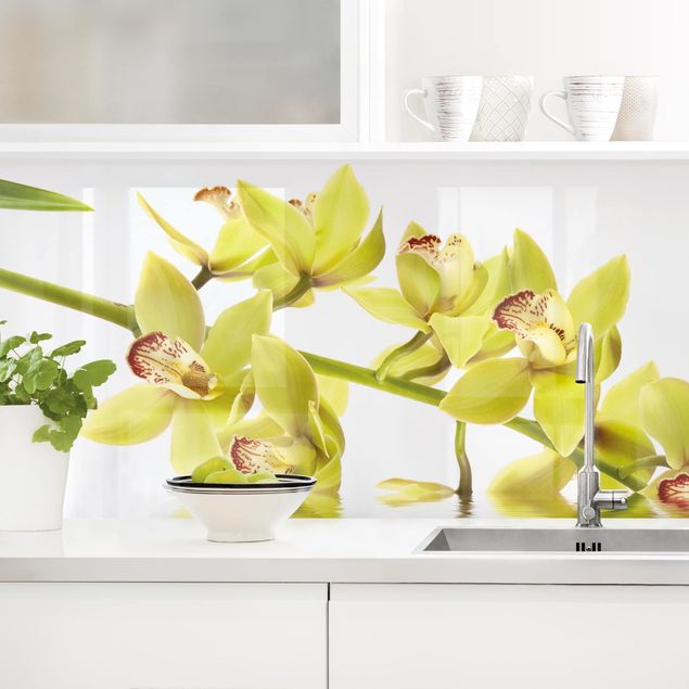 Platte Küchenrückwand Elegant Orchid Waters