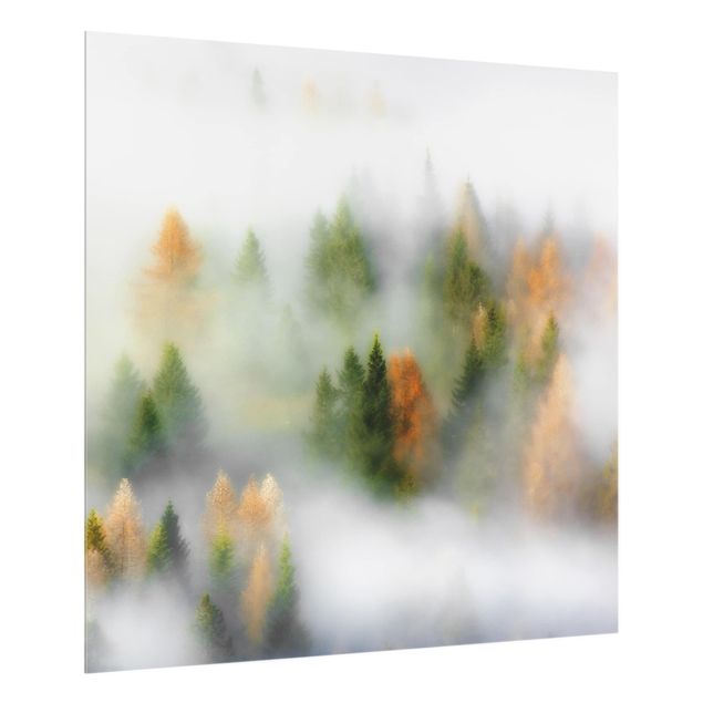 Spritzschutz Natur Nebelwald im Herbst