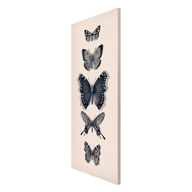 Magnettafel - Tusche Schmetterlinge auf Beige - Panorama Hochformat