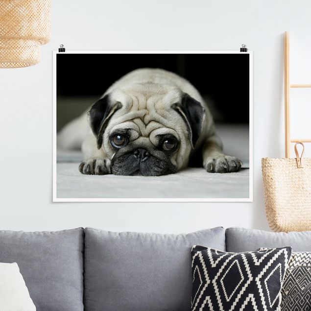 XXL Poster Pug Loves You