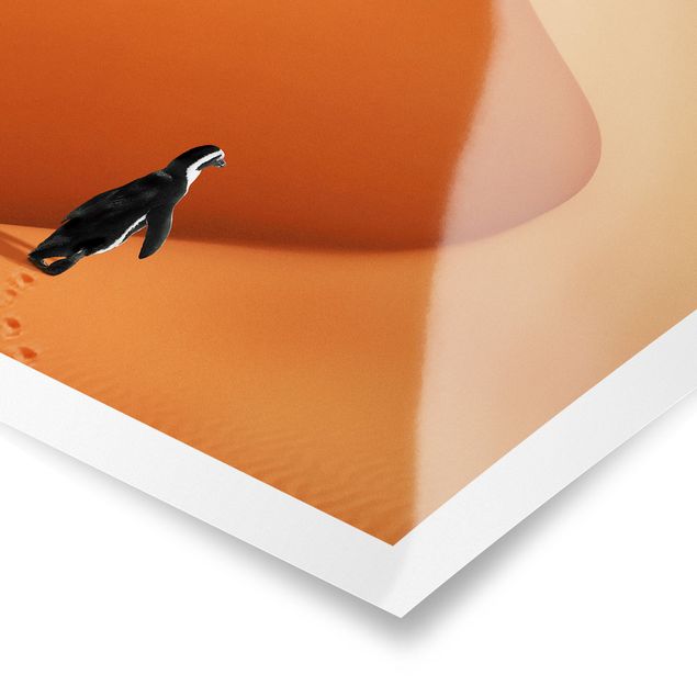 Poster kaufen Wüste mit Pinguin