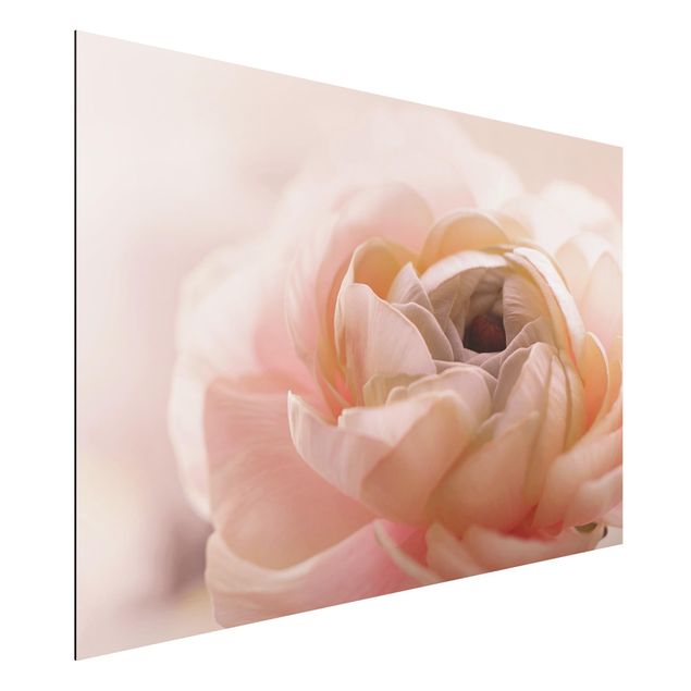 Alu-Dibond - Rosa Blüte im Fokus - Hochformat