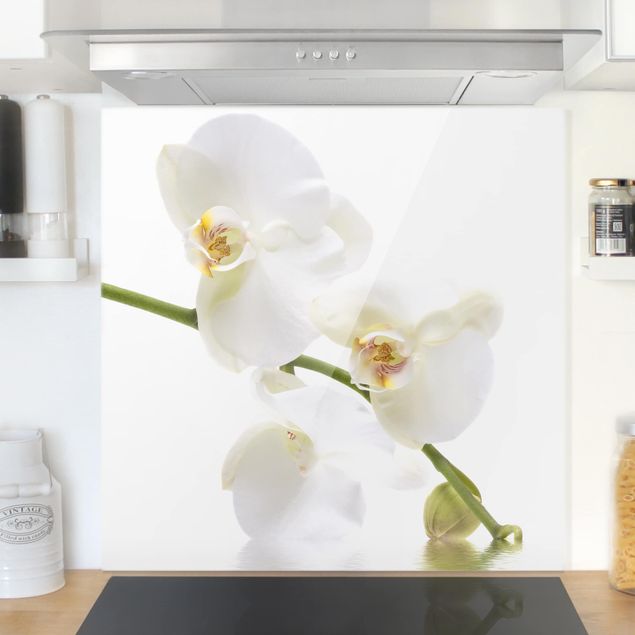 Spritzschutz Blumen White Orchid Waters