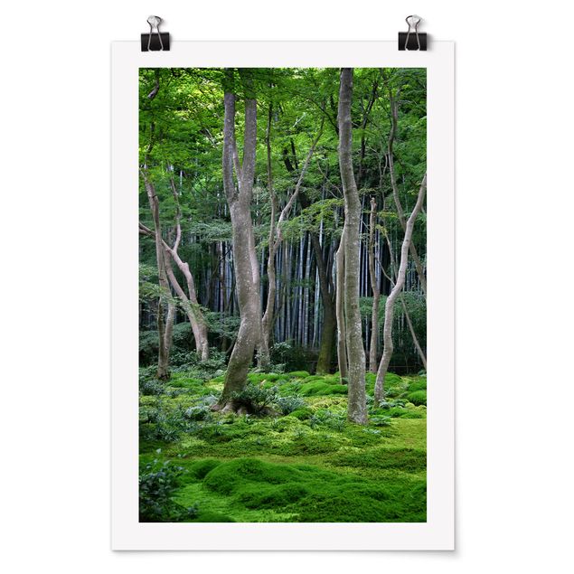 Poster - Japanischer Wald - Hochformat 3:2