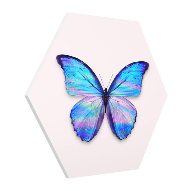 Hexagon Bild Forex - Jonas Loose - Holografischer Schmetterling