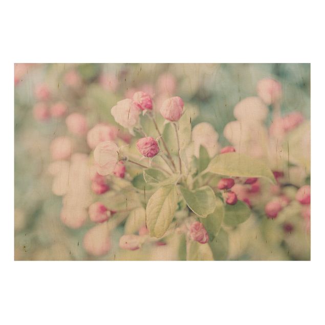 Wandbild Holz Vintage Apfelblüte Bokeh rosa