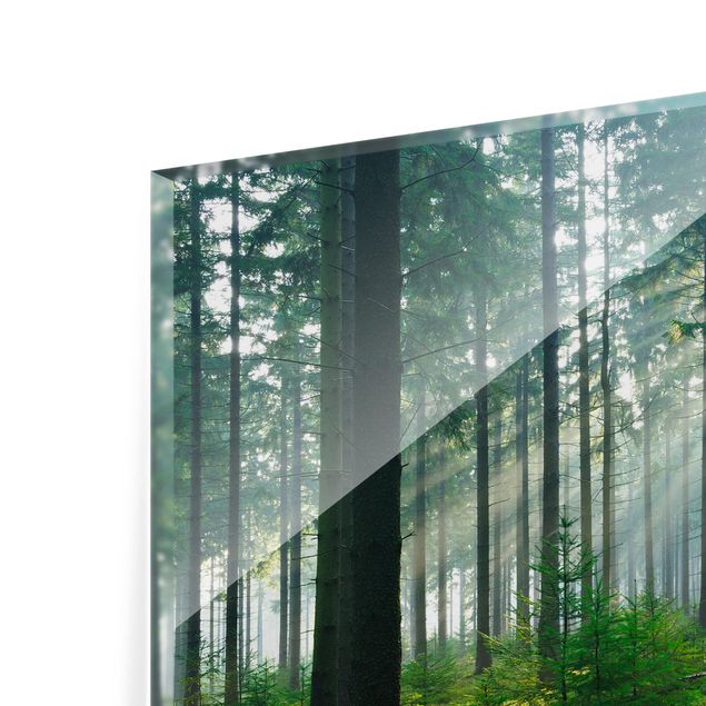 Spritzschutz Glas - Enlightened Forest - Querformat - 3:2