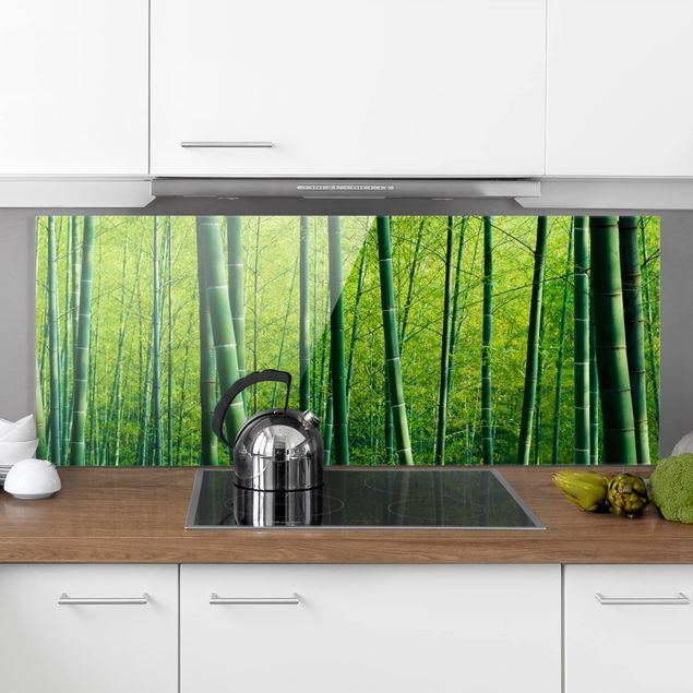 Glasrückwand Küche Wald Bambuswald