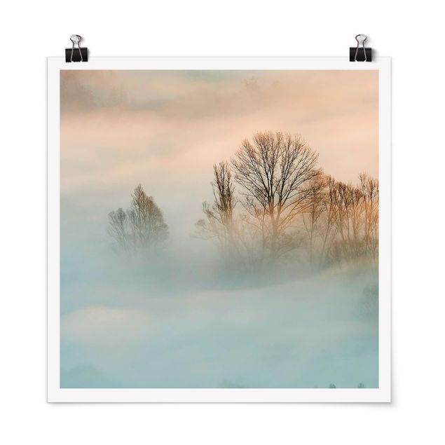Wald Poster Nebel bei Sonnenaufgang