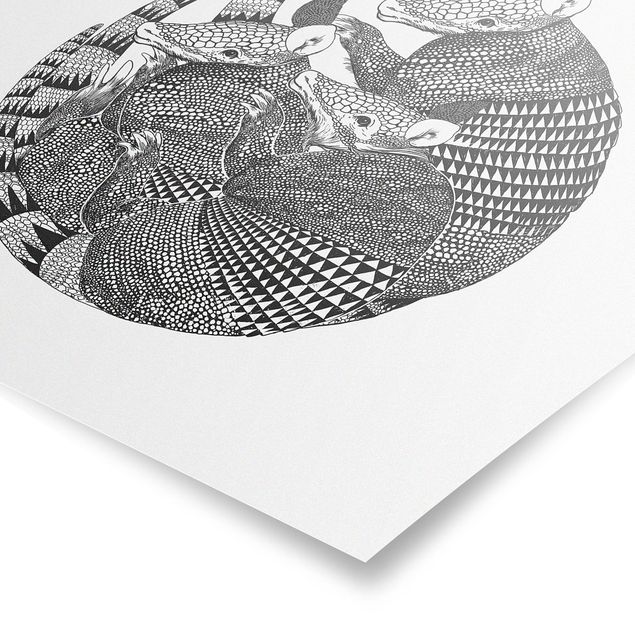 schöne Bilder Illustration Gürteltiere Schwarz Weiß Muster