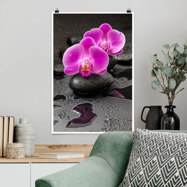 Wand Poster XXL Pinke Orchideenblüten auf Steinen mit Tropfen