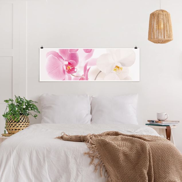Moderne Poster Delicate Orchids