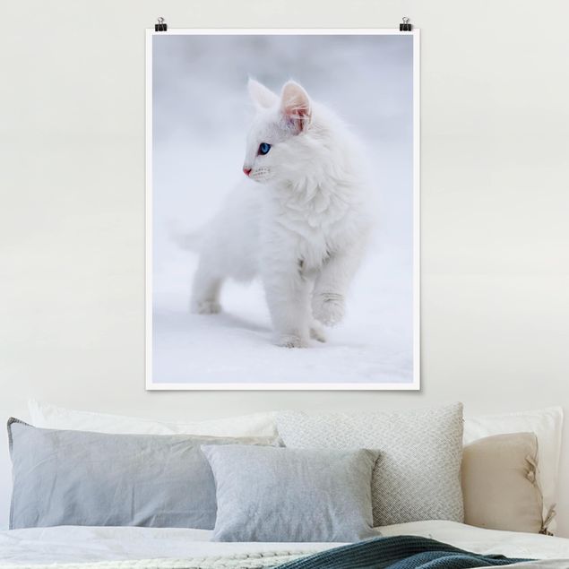 Poster Katzen Weiß wie Schnee
