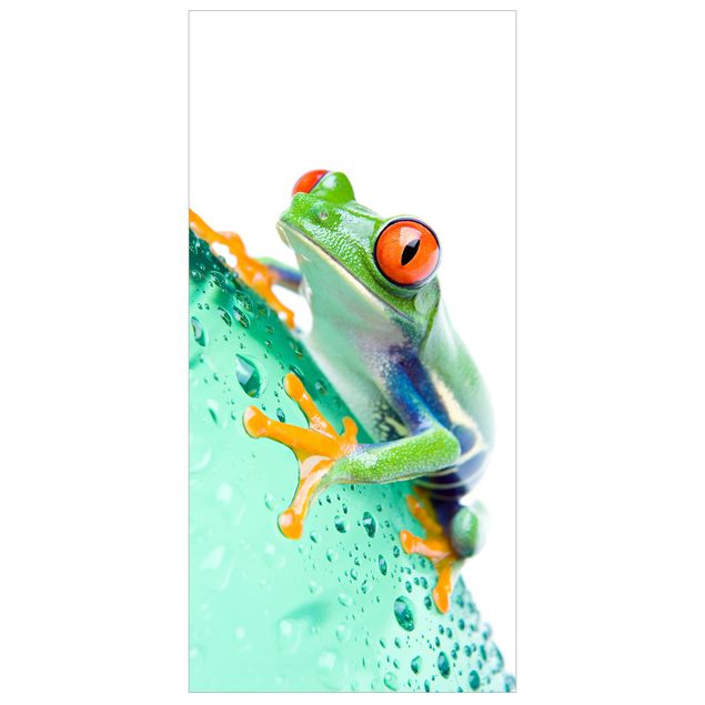 Raumteiler - Frog 250x120cm