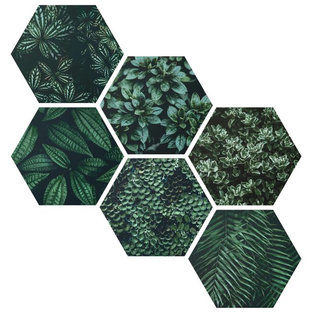 Hexagon Bild Forex 6-teilig - Grüne Blätter Set II