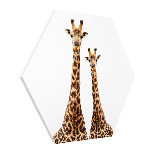 Hexagon Bild Forex - Portait Zweier Giraffen