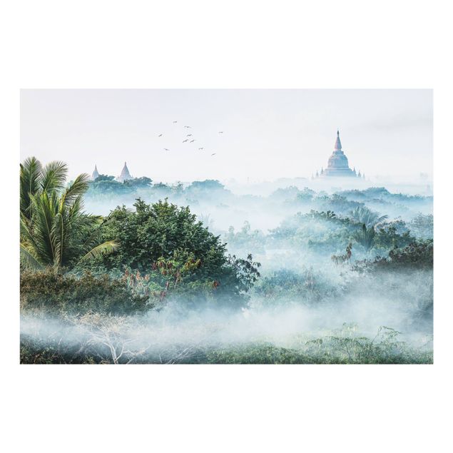 Spritzschutz Natur Morgennebel über dem Dschungel von Bagan