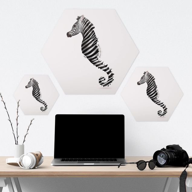 Hexagon Bild Forex - Jonas Loose - Seepferdchen mit Zebrastreifen