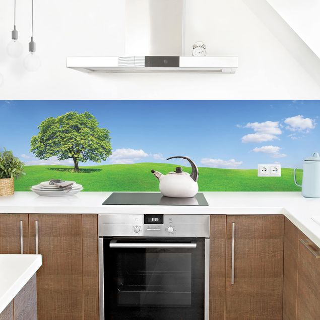 Küchenspiegel Panoramic