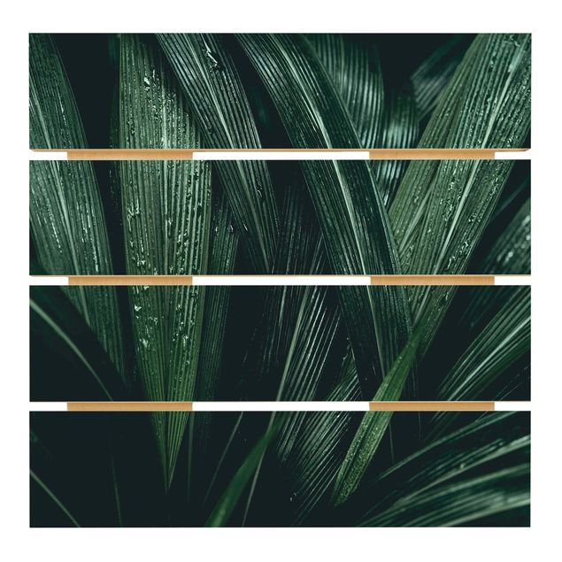 Holzbild - Grüne Palmenblätter - Quadrat 1:1