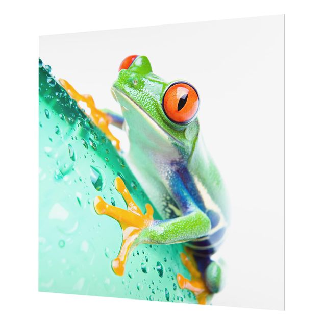 Glas Spritzschutz - Frog - Quadrat - 1:1