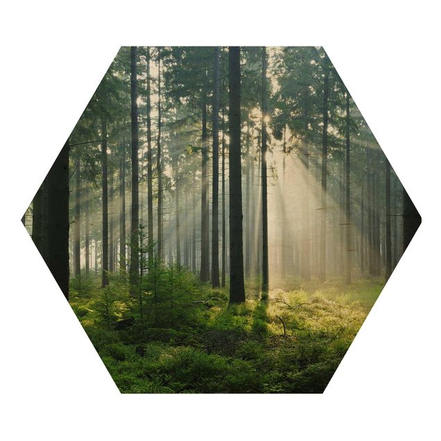 Hexagon Bild Holz - Enlightened Forest
