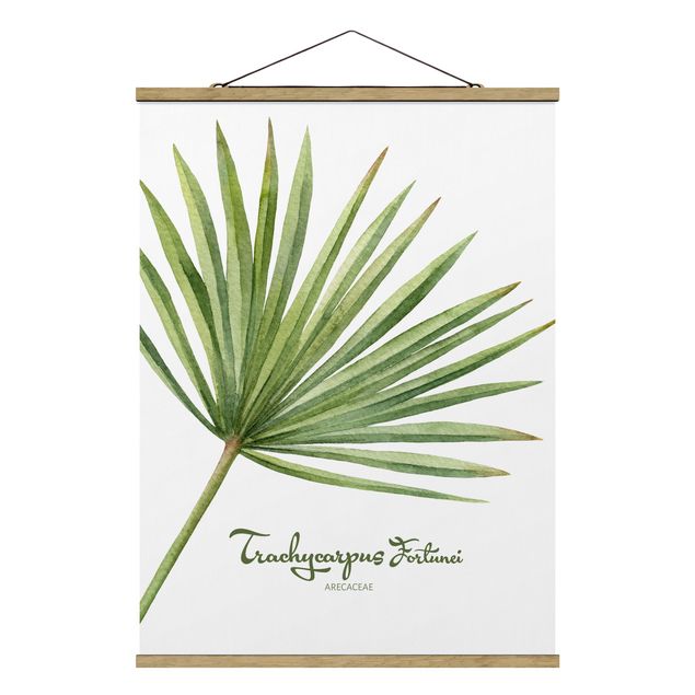Stoffbild mit Posterleisten - Aquarell Botanik Trachycarpus fortunei - Hochformat 3:4