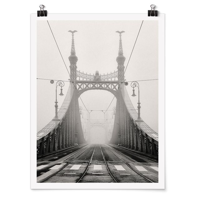 Bilder Brücke in Budapest