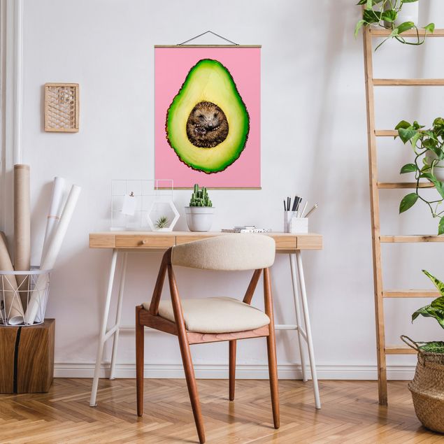 Bilder Avocado mit Igel
