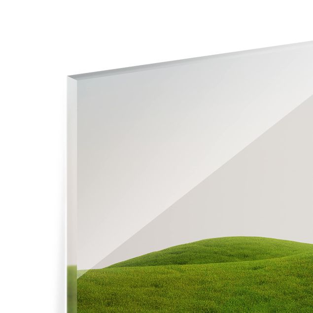 Spritzschutz Glas - Grüne Ruhe - Panorama - 5:2