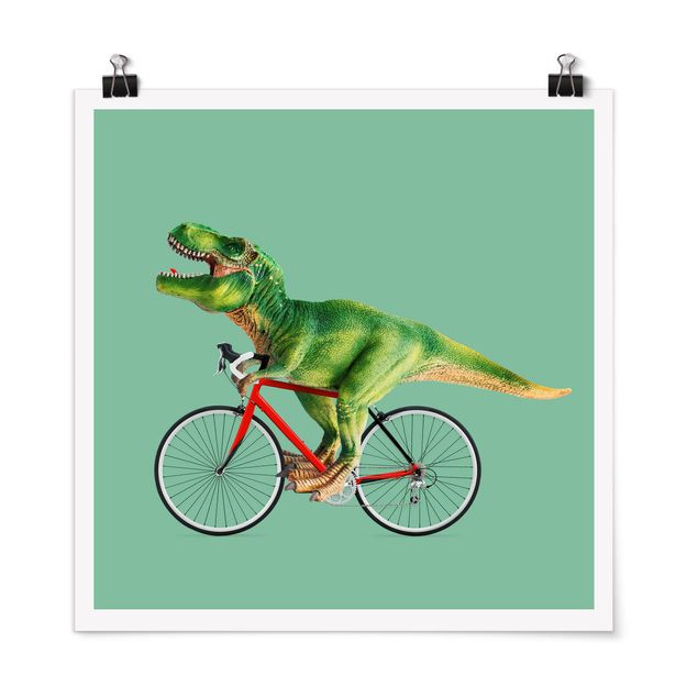 Poster - Jonas Loose - Dinosaurier mit Fahrrad - Quadrat 1:1
