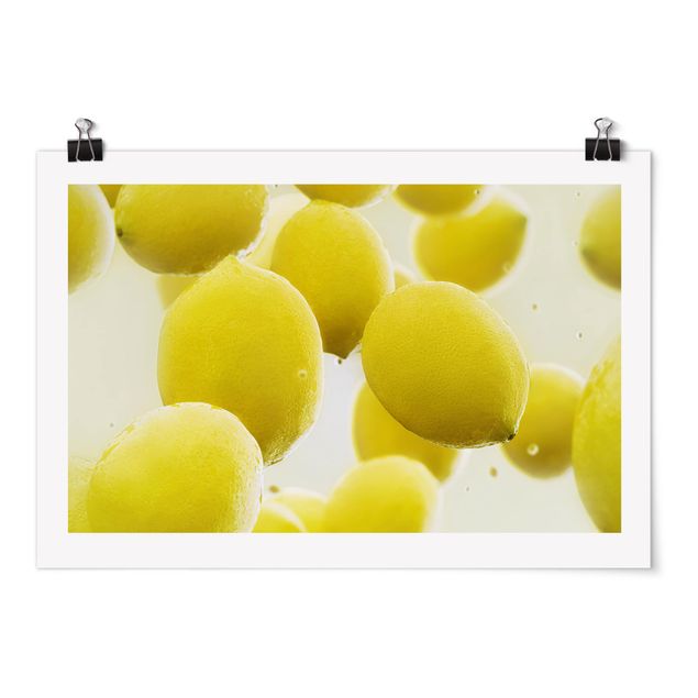 Poster kaufen Zitronen im Wasser