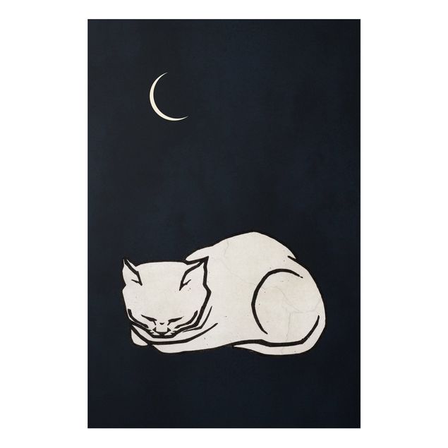 schöne Bilder Schlafende Katze Illustration