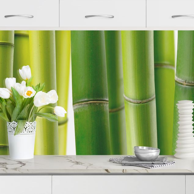Platte Küchenrückwand Bambuspflanzen II